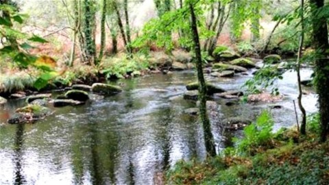 Rivière Isole avant Cascadec Rivière Isole avant Cascadec